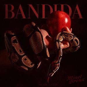 BANDIDA (feat. Kaelonthebeat & Animal Sounds)