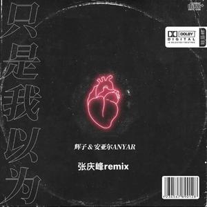 辉子-只是我以为（张庆峰 remix）