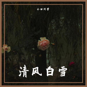 清风白雪