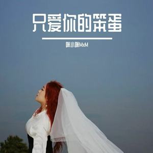 只爱你的笨蛋