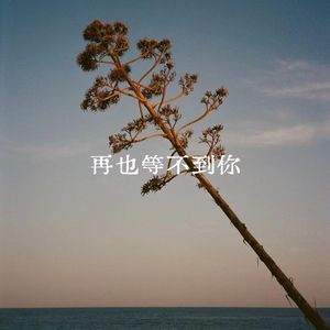 再也等不到你