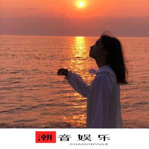 爱情劫匪广场舞版DJ