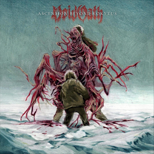 Festered Sepsis Lacerations