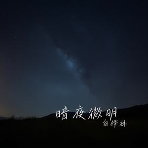 暗夜微明