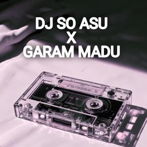 DJ SO ASU X GARAM MADU