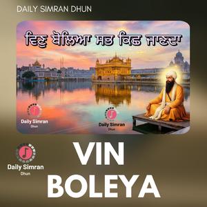 VIN BOLEYA