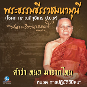 การปฎิบัติวิปัสสนา เรื่อง คำว่า หนอ มาจากไหน