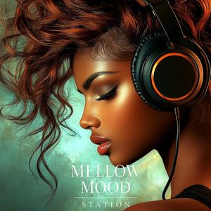 Night Breeze Boulevard