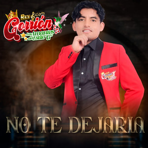No Te Dejaria
