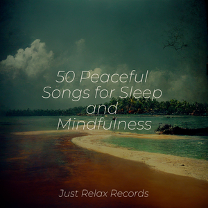 Splendorous Melodic Odyssey