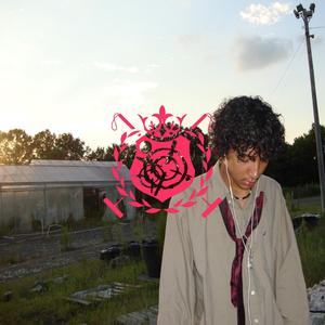 temptation is growing