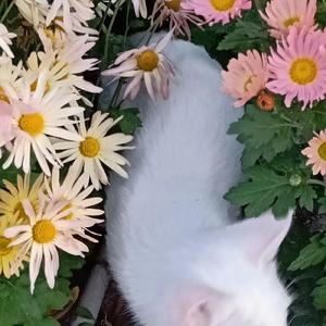 Somebody not me （prod by Simon5 beats）