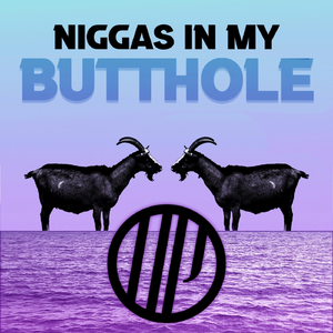 Niggas in My Butthole