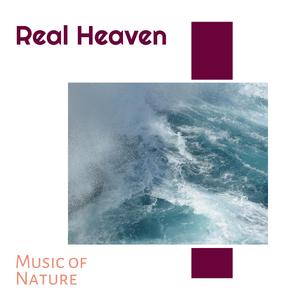 The Weak New York Waves