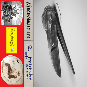 Apsáalooke