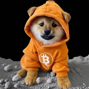 Dog Army (Going to the Moon)