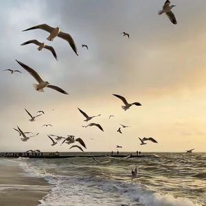 死在江南烟雨中（伴奏0.8X）