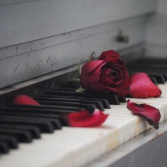 糖果仙子舞曲 (柴可夫斯基)