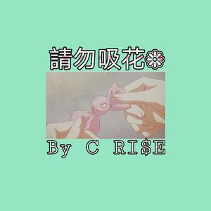請勿吸花（prod by CALMLY BEATS)