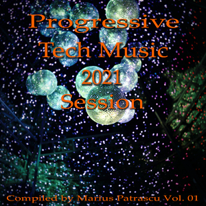 Into the Night (Stereophonie Remix)