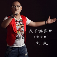 我不想再醉 (电台版)