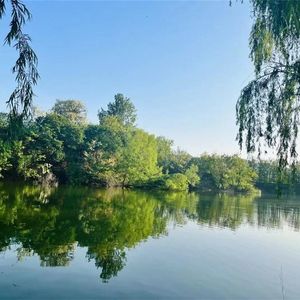 万般努力只为出人头地