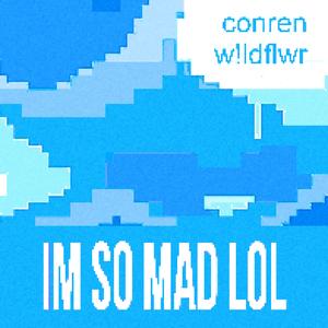 IM SO MAD LOL (feat. w!ldflwr)