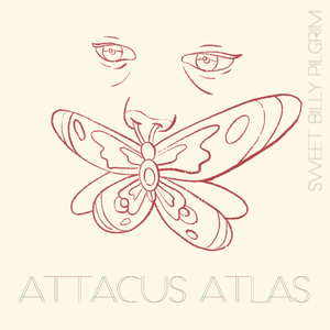 Attacus Atlas