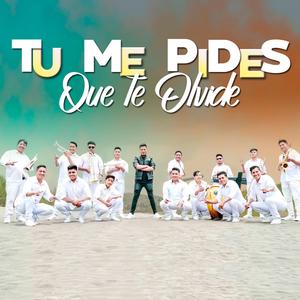 Tu me pides que te olvide (feat. La Súper Banda Señor del Árbol)