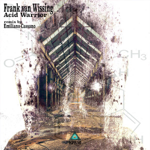 Acid Warrior (Original Mix)