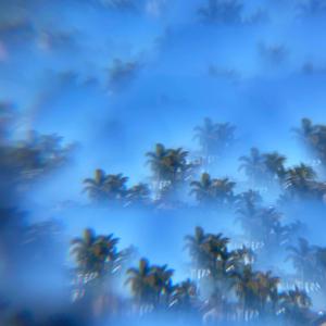Dawn Patrol (iPhone Demo Version)