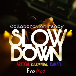 Slow Down (feat. Artical & Ramzil)