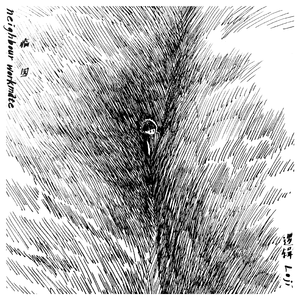 择路无悔-assert