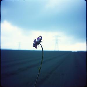 잊는게 더 아플까봐