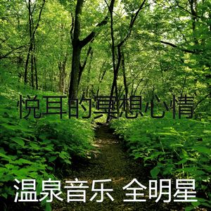 抚慰的温泉回忆