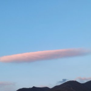 橘色云絮晚归程