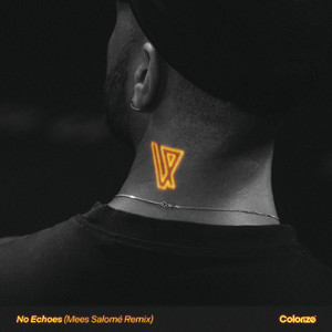 No Echoes (Mees Salomé Remix)