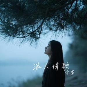 浪人情歌 (青墨 Remix)