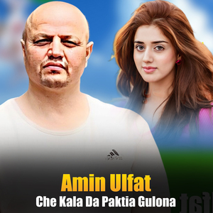 Laila Che Dase Pa Nakhro Zan Jorawe