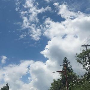 我想牵着你的手