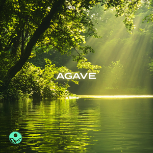 Agave (432 Hz)