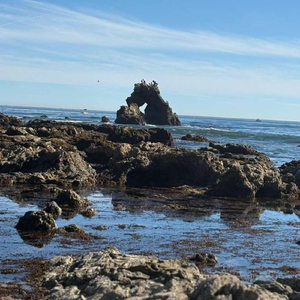 Don't Say It's Too Late