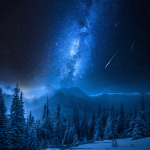 Cold November Freestyle