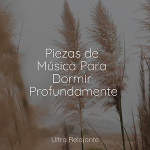 Amanecer en La Arenosa Playa