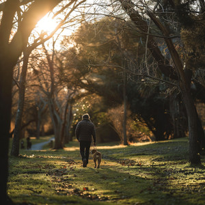 Armonía Calmante De Colas