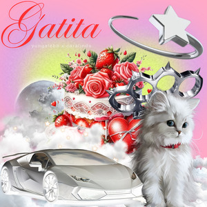 GATITA