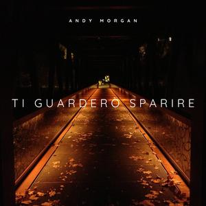 Ti Guarderò Sparire