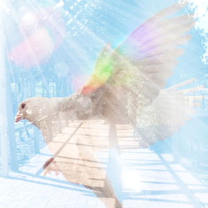 Together We Will Fly (Live in Studio)