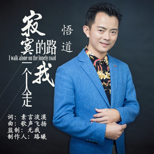 寂寞的路我一个人走