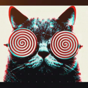 Dark Lives Reimagined (feat. Lon Tha Don, Mvsri, KNGA & Seyedkik)